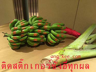 กล้วยเครือติดซังฮี่ทุกผลสำหรับพิธีหมั้นแบบจีนยกน้ำชา