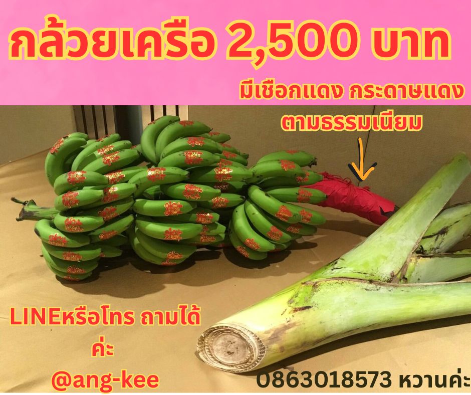 กล้วยเครือสำหรับพิธีหมั้น ขันหมากจีน แต่งงาน มีบริการส่ง จากสวน