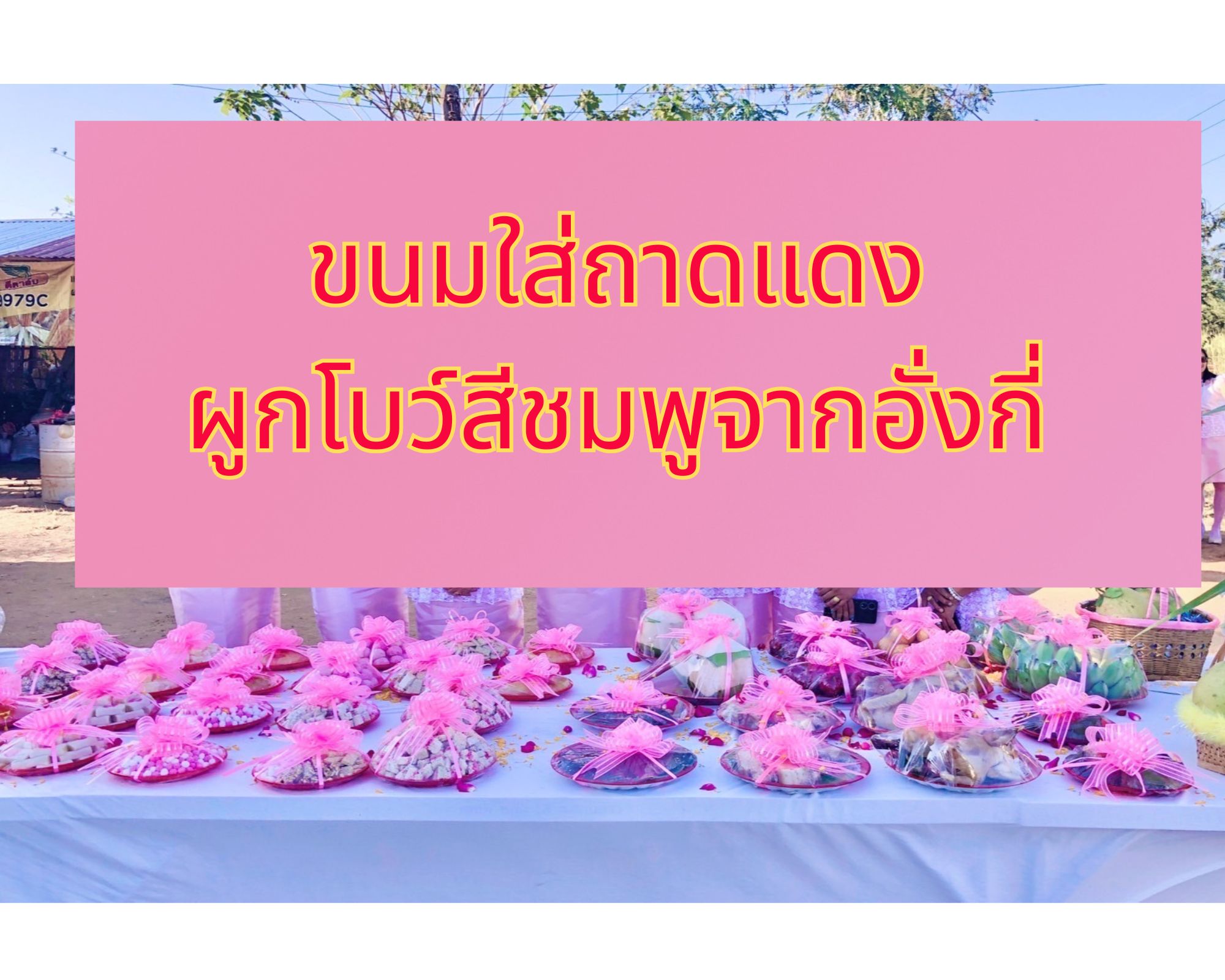 ขนมขันหมากใส่ถาดแดงผูกโบว์สีชมพูพร้อมแห่